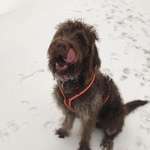 Ersteller:in Li Profilbild