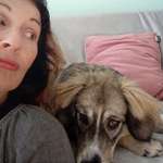 Ersteller:in Rosita Profilbild