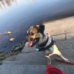 Ersteller:in Lydia Profilbild