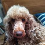 Ersteller:in Regula Profilbild