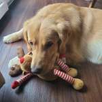 Ersteller:in Charlotte Profilbild