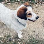 Ersteller:in Tanja Profilbild