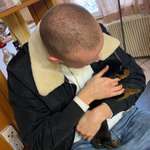 Ersteller:in Fatjon Profilbild