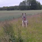 Ersteller:in Heidi Profilbild