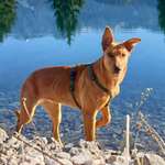 Ersteller:in Marco Profilbild