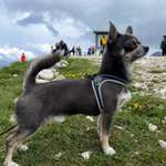 Ersteller:in Caroline Profilbild