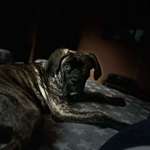 Ersteller:in Rico Profilbild