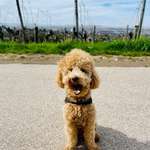 Ersteller:in Julia und Profilbild