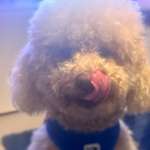 Ersteller:in Julia und Profilbild