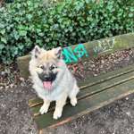 Ersteller:in Vanessa Profilbild