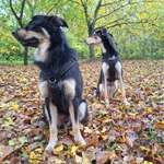 Ersteller:in Lara Profilbild