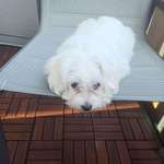 Ersteller:in Daniela Profilbild