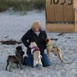 Ersteller:in Simone Profilbild