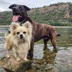 Ersteller:in Neni Profilbild