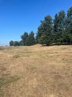 Hundeauslaufgebiet-Hingewiesen-Bild