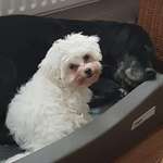 Ersteller:in Die Ele Profilbild