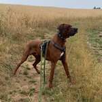 Ersteller:in Marion Profilbild