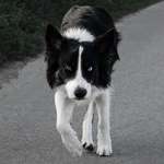 Ersteller:in Pia Profilbild