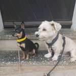 Ersteller:in Jessi Profilbild