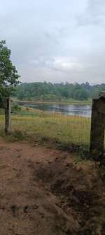 Hundeauslaufgebiet-Schwarzes Wasser in Wesel-Bild