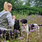 Ersteller:in Lina Profilbild