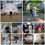 Ersteller:in Wenke Profilbild