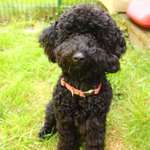 Ersteller:in Louisa Profilbild