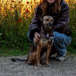 Ersteller:in Holly Profilbild