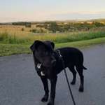 Ersteller:in Conrad Profilbild