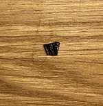 Munition im Nassfutter Vet Concept-Beitrag-Bild