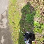 Ersteller:in A. Profilbild