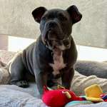 Ersteller:in Sissy Profilbild