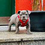 Ersteller:in Sissy Profilbild