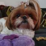 Ersteller:in AnDrea Profilbild