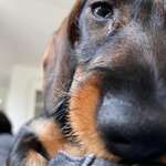 Ersteller:in Lea Profilbild