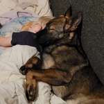 Ersteller:in Zhasmin Profilbild