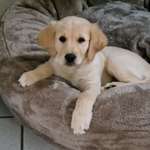 Ersteller:in Stephanie Profilbild