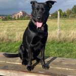 Ersteller:in Laura Profilbild