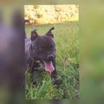 Ersteller:in Jasmin Profilbild