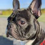 Ersteller:in Florian Profilbild