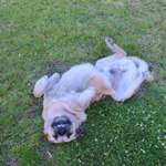 Suchmeldung-Face-Bild