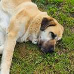 Suchmeldung-Face-Bild