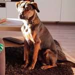 Ersteller:in Romy Profilbild