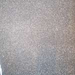 Ersteller:in Hunde Profilbild