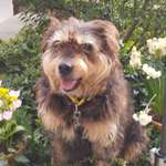 Ersteller:in Claudia Profilbild