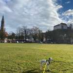 Ersteller:in Marco Profilbild