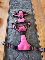 Emma hat aussortiert-Beitrag-Bild