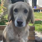 Ersteller:in Camilla Profilbild