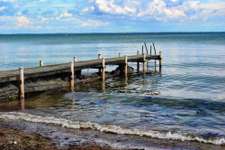 Hundeauslaufgebiet-Norgaardholz-Bild