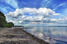 Hundeauslaufgebiet-Norgaardholz-Bild